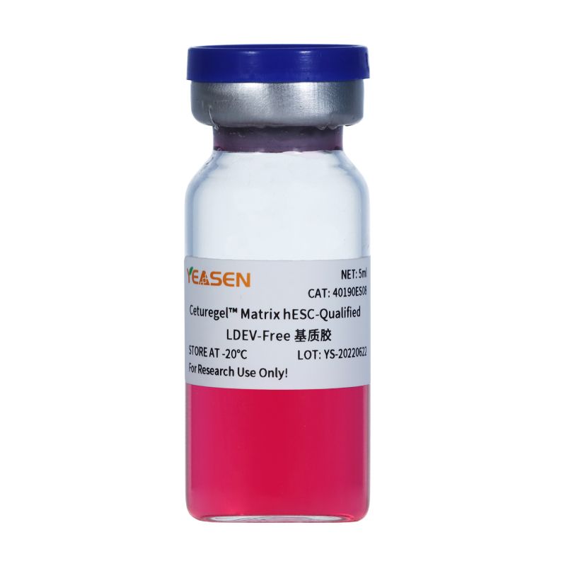 基质胶-干细胞培养基 Matrix hESC-Qualified基质胶
