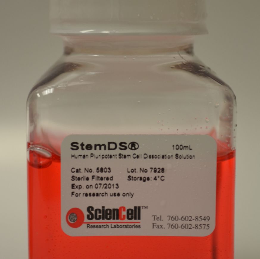 ScienCell 5803人胚胎干细胞解离液StemDS, StemDS? Human Embryonic Stem Cell Dissociation Solution, 100 ml
