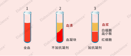 血清or血浆？ELISA指标检测样本如何选？