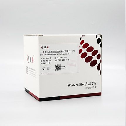 PG213 Omni-Easy™一步法 PAGE凝胶快速制备试剂盒（12.5%）