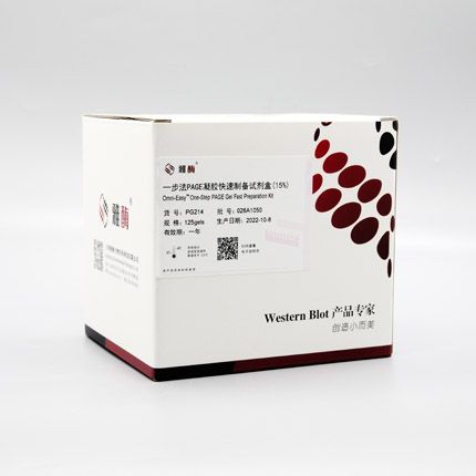 PG214 Omni-Easy™一步法 PAGE凝胶快速制备试剂盒（15%）