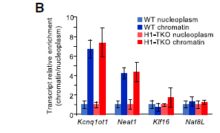LncRNA也能调控转录激活？