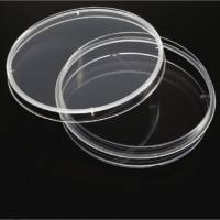 细胞培养皿（150mm）