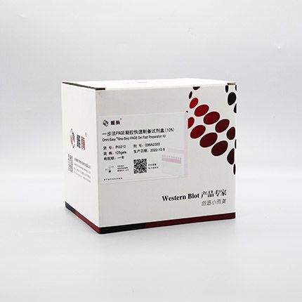 PG212 Omni-Easy™一步法 PAGE凝胶快速制备试剂盒（10%）