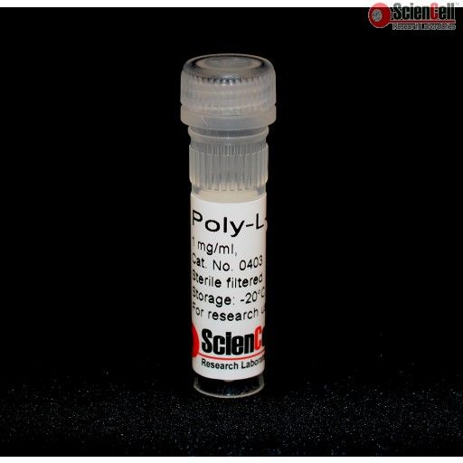 ScienCell 0403多聚赖氨酸   PLL，Poly-L-lysine