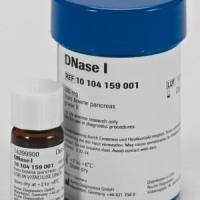 Roche 罗氏10104159001 DNase I，grade II, from bovine pancreas