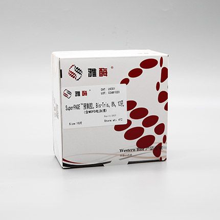 LK301 SuperPAGE™ 预制胶，Bis-Tris，8%，12孔(含MOPS电泳液)