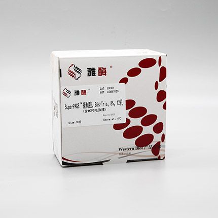 雅酶LK301 SuperPAGE™ 预制胶，Bis-Tris，8%，12孔(含MOPS电泳液)