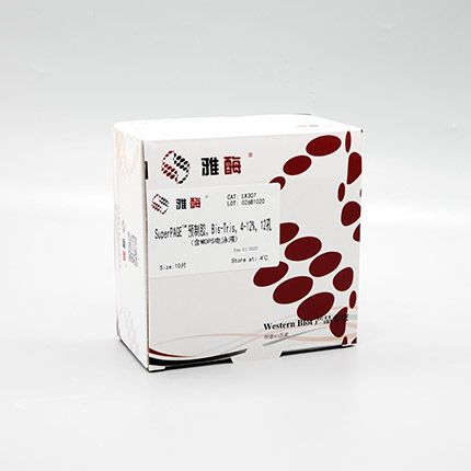 LK307 SuperPAGE™ 预制胶，Bis-Tris，4~12%，12孔(含MOPS电泳液)