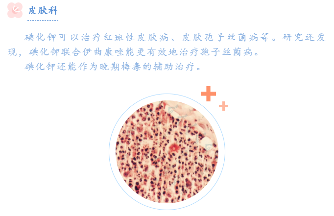 除了防治甲状腺肿，它还能做更多……