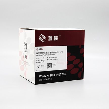 PG113 PAGE凝胶快速制备试剂盒12.5%