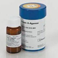 Roche罗氏 11134515001蛋白A琼脂糖，Protein A-Agarose Roche