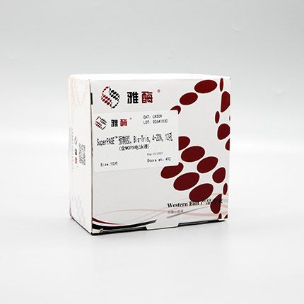 LK309 SuperPAGE™ 预制胶，Bis-Tris，4~20%，12孔(含MOPS电泳液)