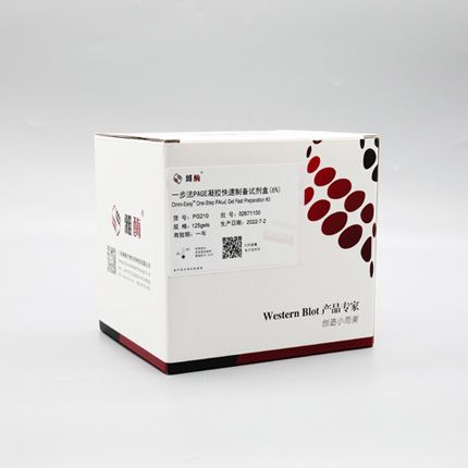 PG210 Omni-Easy™一步法 PAGE凝胶快速制备试剂盒（6%）