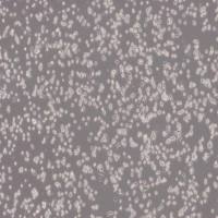 NIH3T3-L1_小鼠胚胎成纤维细胞