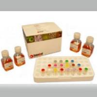 ScienCell 0533抗霉菌溶液ABAMS，Antibiotic / Antimycotic