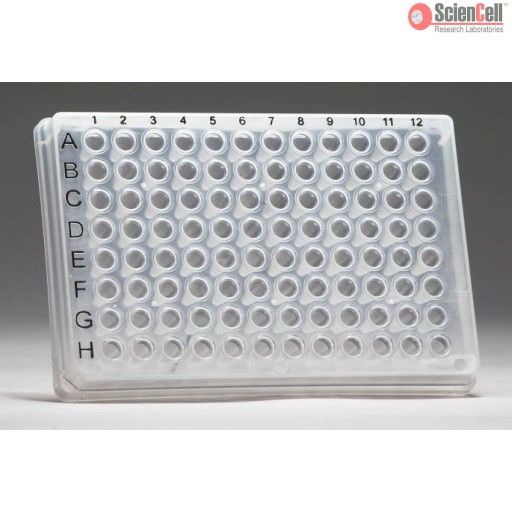 ScienCellGK126人类细胞表面标记qPCR检测试剂盒，Human Cell Surface Markers qPCR Array Kit