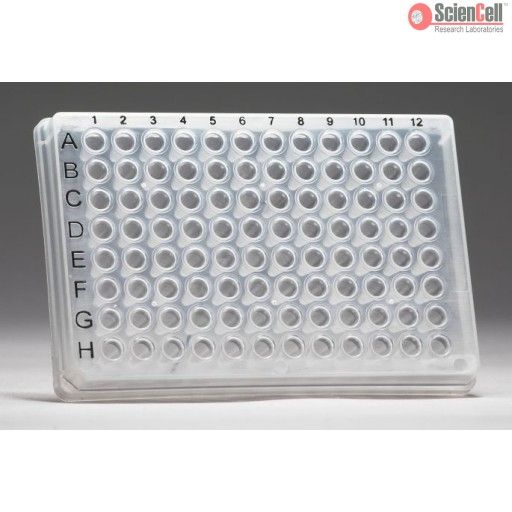 ScienCell GK100人角质形成细胞生物学qPCR检测试剂盒,Human Keratinocyte Cell Biology qPCR Array Kit