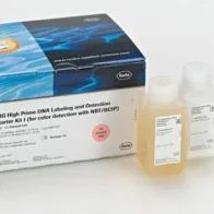 Roche罗氏 11745832910 DIG-High Prime DNA标记及检测启动装I，DIG-High Prime DNA ...