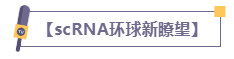 【IF=39.9】如何只运用开源数据发表高分单细胞文章？