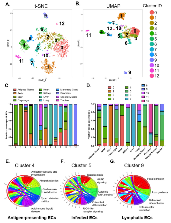 【IF=39.9】如何只运用开源数据发表高分单细胞文章？