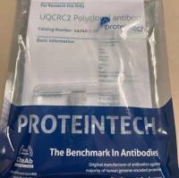 Rabbit IgG control Polyclonal antibody