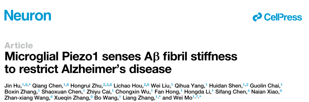 Neuron：Piezo1可作为AD治疗靶点！厦大莫玮教授团队揭示小胶质细胞感知Aβ斑块新机制
