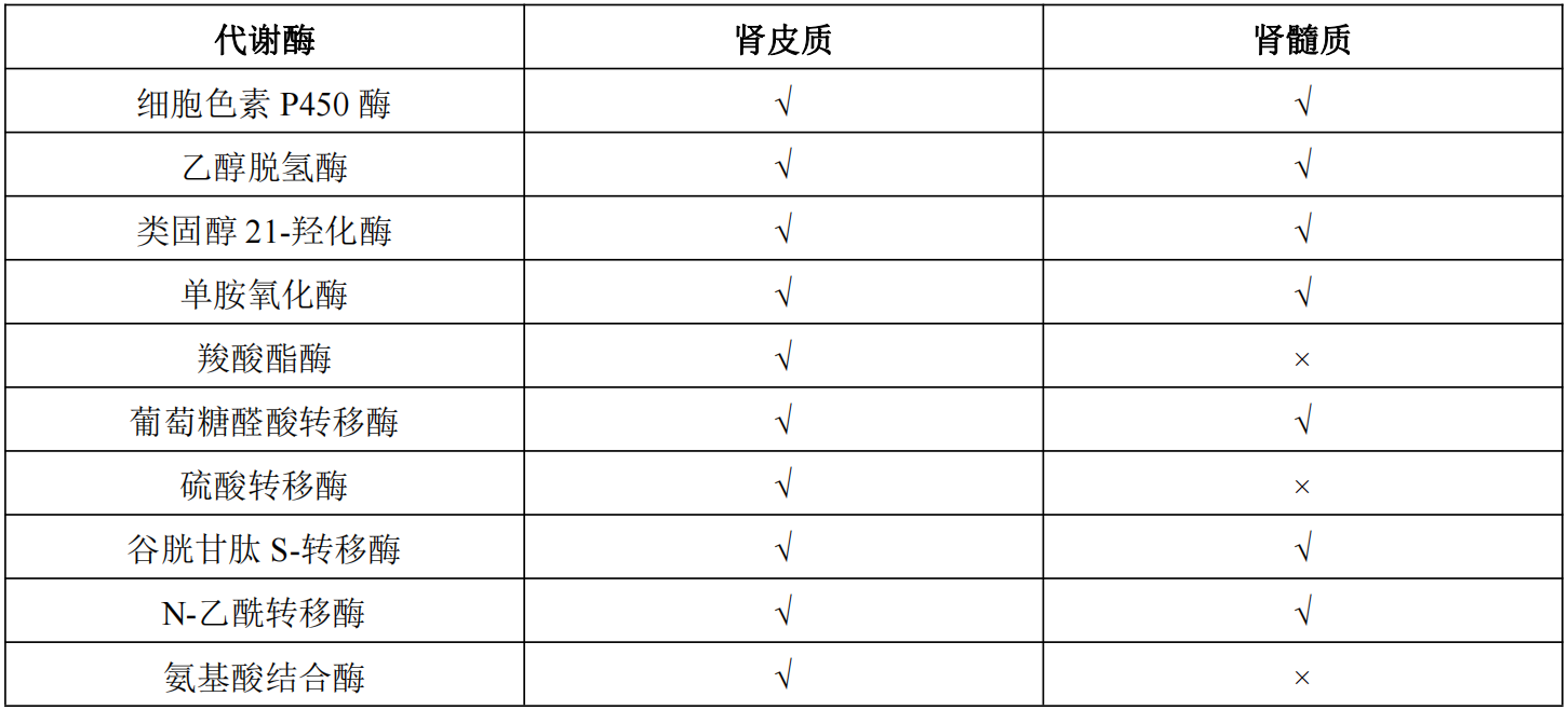 新闻图片2