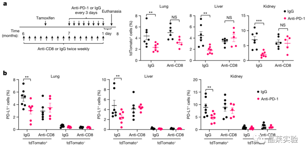 技术资料图片16