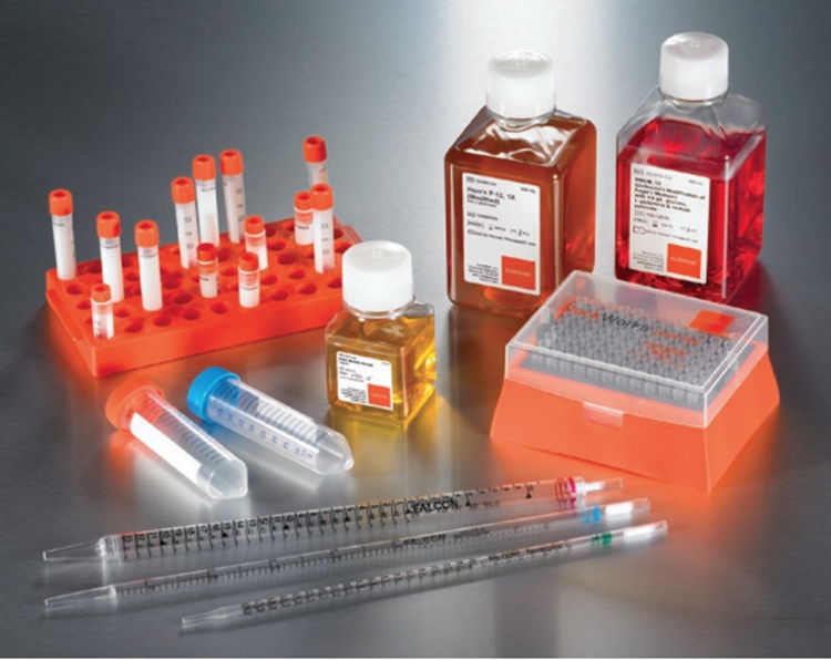 431420 康宁 2ml冻存管