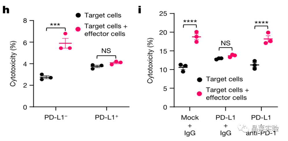 技术资料图片13