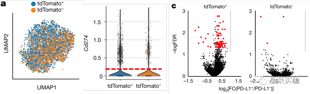 技术资料图片14