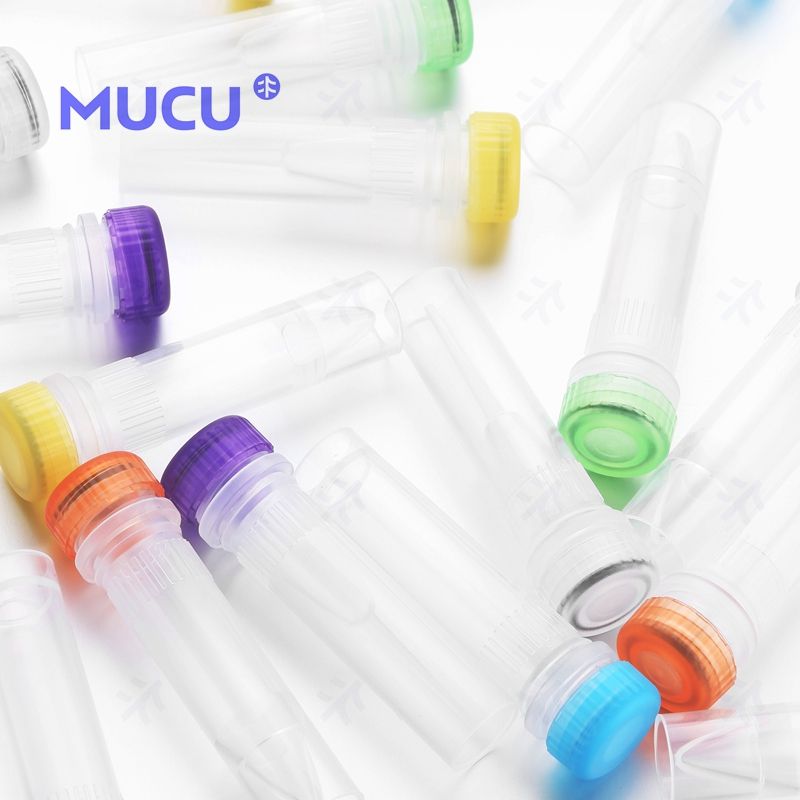 mucu 5610508 1.5ml透明可站立螺口管