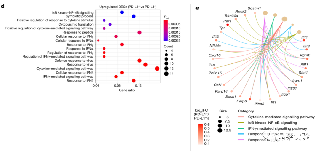 技术资料图片15