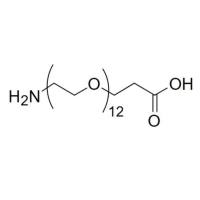 NH2-PEG12-PA