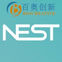 NEST 96孔圆孔深孔板(U型底)