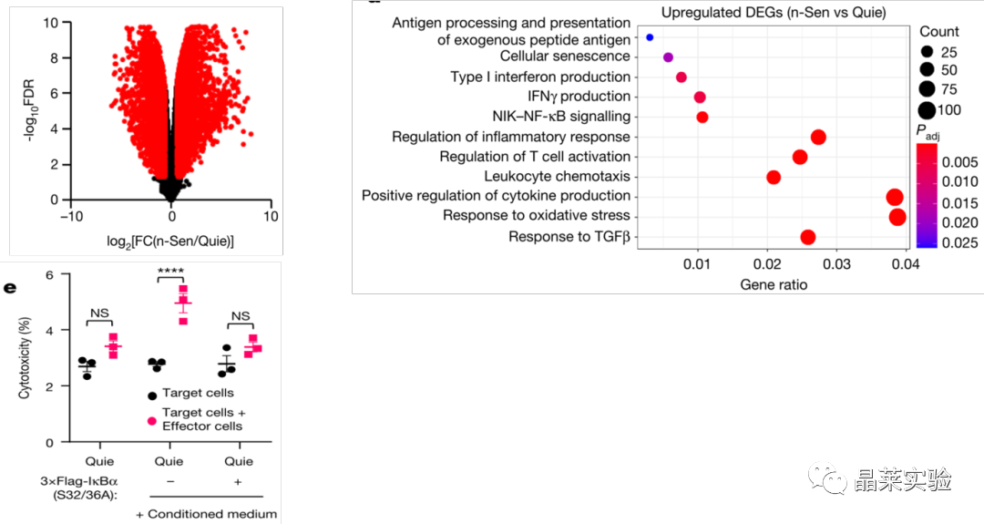 技术资料图片11