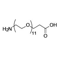 NH2-PEG11-PA