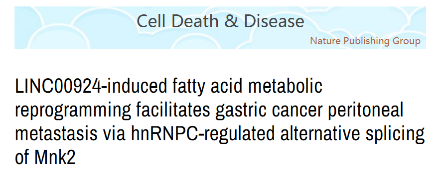 分子探针与表观遗传学研究好文分享：LINC00924诱导的脂肪酸代谢重编程通过hnRNPC调控的Mnk2选择性剪接促进胃癌腹膜转移(IF=9.685)