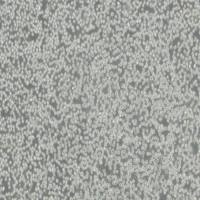 AML12细胞_小鼠正常肝细胞