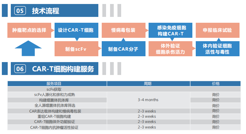 艾柏森期待与您牵手，我们将竭诚以待，为您提供完美的一站式CAR-T细胞科研服务。