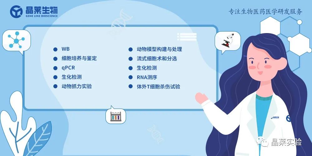 技术资料图片19