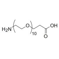 NH2-PEG10-PA
