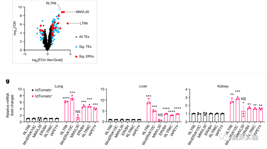 技术资料图片12