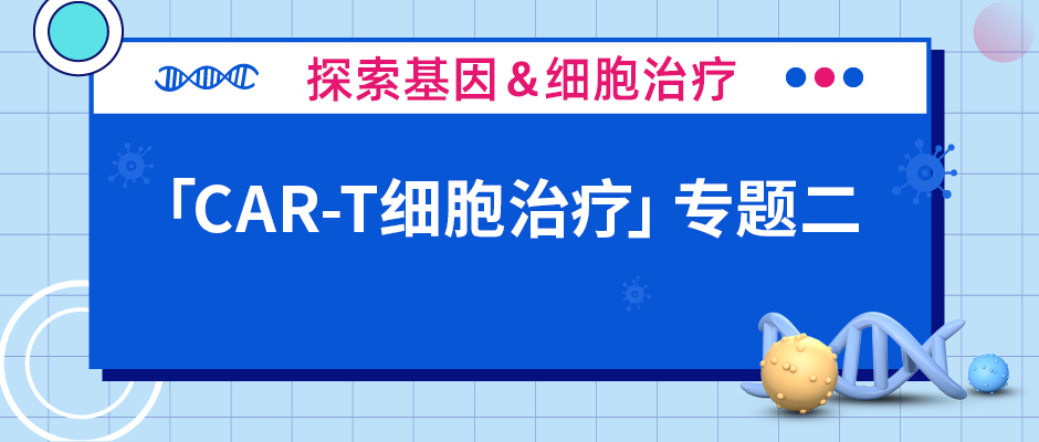 CAR分子构建与慢病毒包装那些你不能错过的知识点