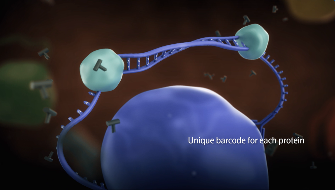 超灵敏的Olink蛋白组学，助力精准医疗发展的“黑科技”