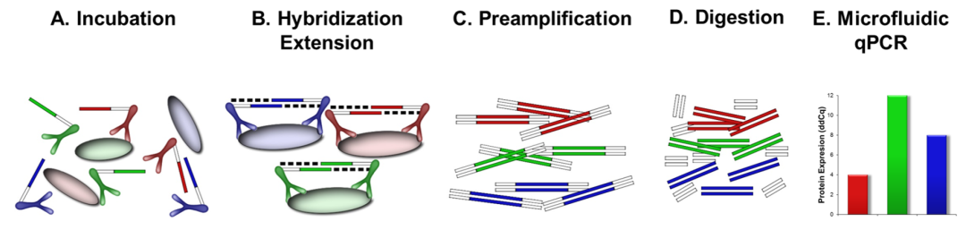 超灵敏的Olink蛋白组学，助力精准医疗发展的“黑科技”