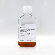 SeeHEK293CD01基础培养基(液体)