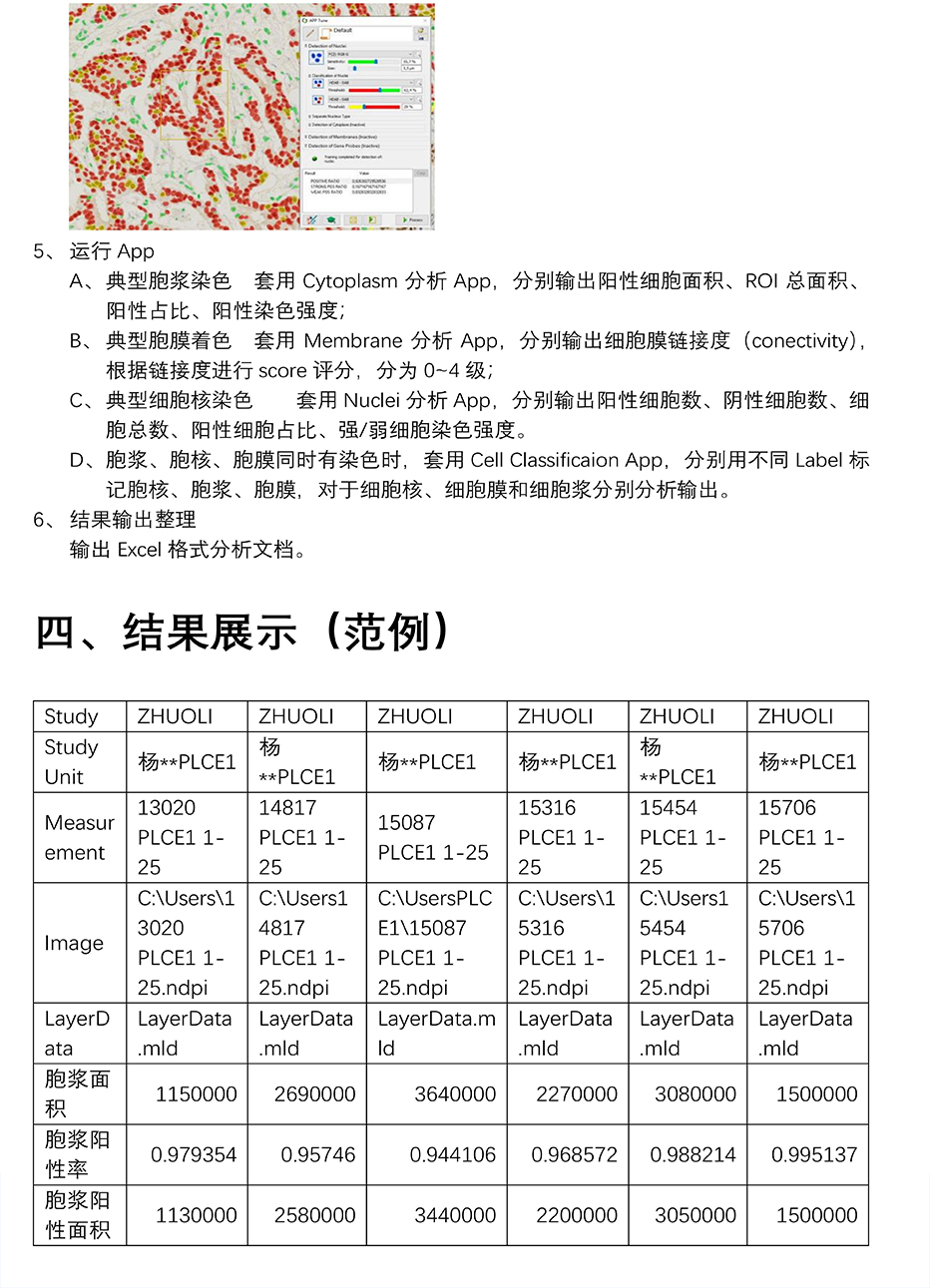 组织芯片扫描结果分析