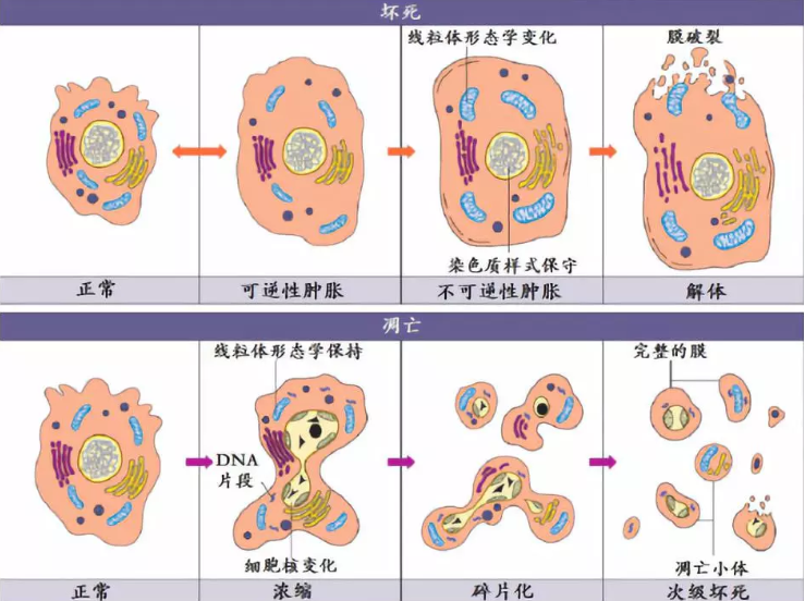 技术资料图片1